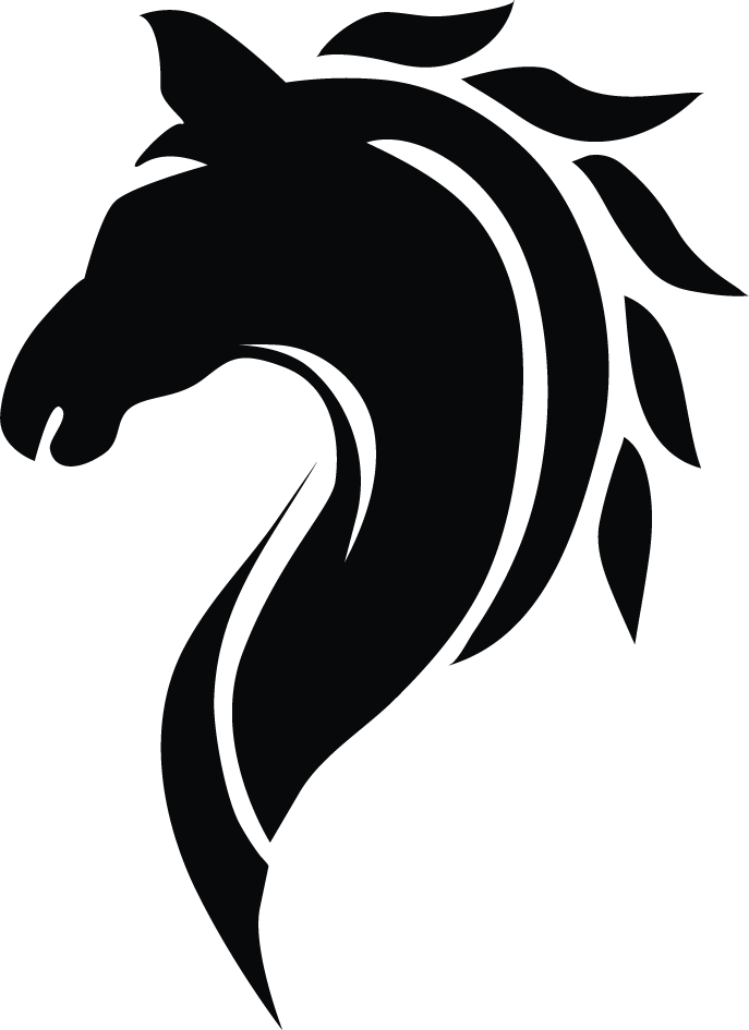 ColT & KiN logo
